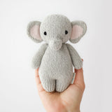 cuddle + kind Baby Elephant
