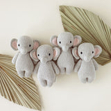 cuddle + kind Baby Elephant